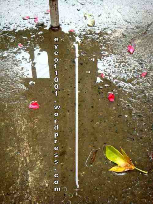 64224_420171161391788_1262506965_n (1)