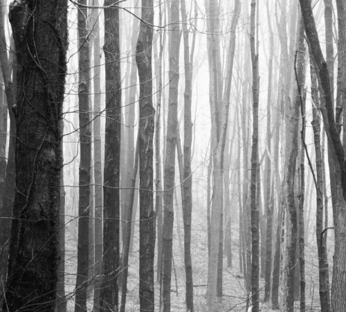 RodPossChallengeLines