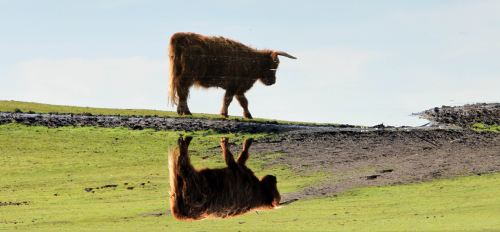 the-world-upside-down